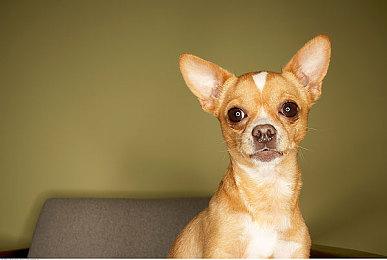 《创物尘晶》新视频 展示采集系统细节和场景互动